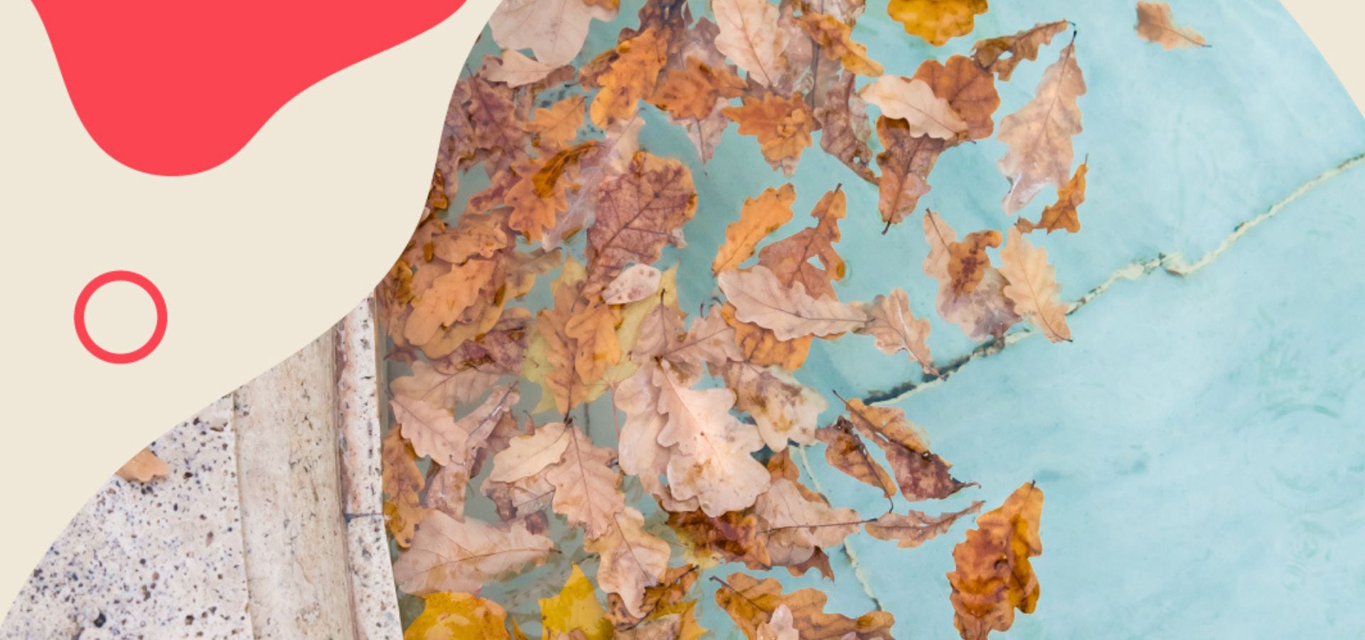 Transition Your Pool for Fall: Essential Maintenance Tips for a Sparkling Swim