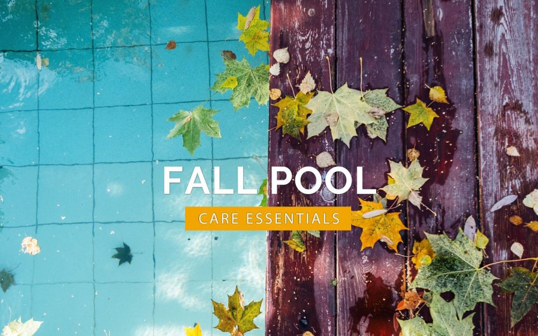 How to Prepare Your Texas Backyard and Outdoor Space for a Cozy Fall Season: November Maintenance Tips and Ideas