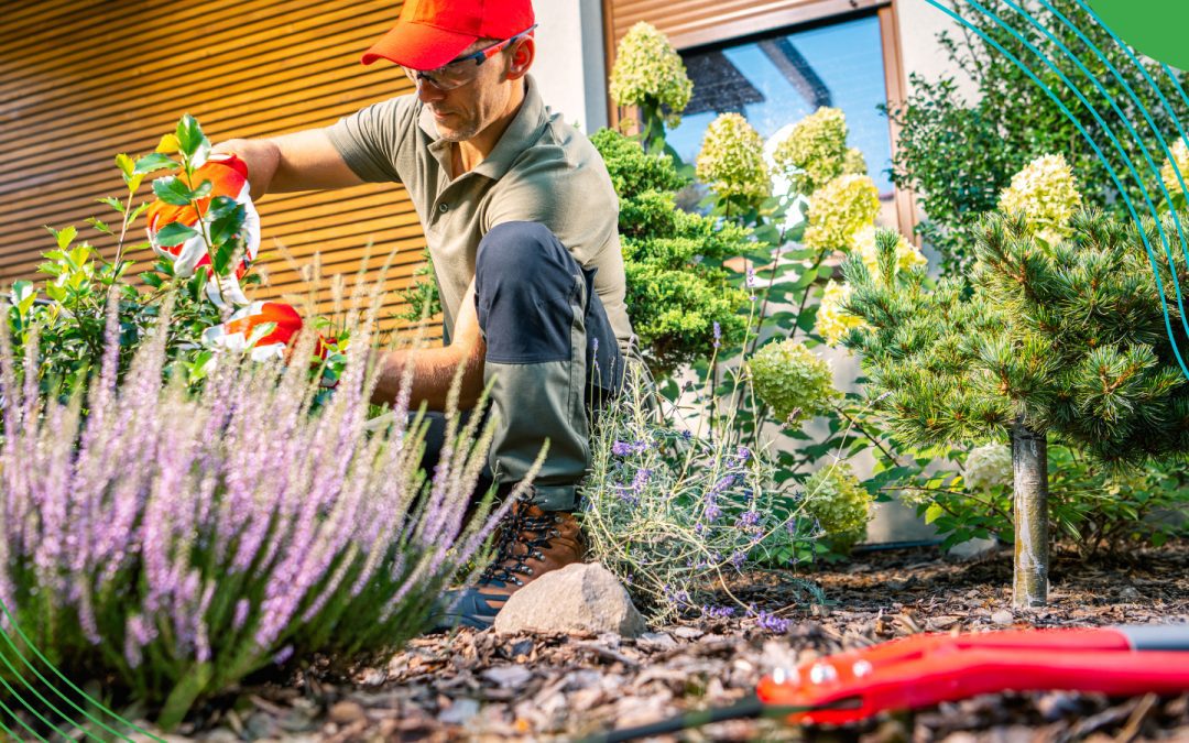 Seasonal Landscaping Tips to Keep Your Yard Looking Its Best